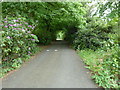 Copyhold Lane NE to Cuckfield and Haywards Heath