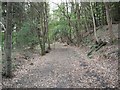 Old railway track around Newtyle