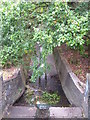 The Quaggy River north of Sidcup Road (A20) (3)