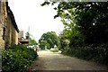 Rural road by Pond Farm