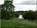 River Wharfe, Ryther