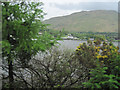 Arrochar through the trees across Loch Long