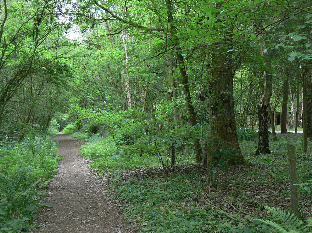 Path through Oakley Wood © Alan Murray-Rust cc-by-sa/2.0 :: Geograph ...