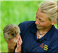 TQ3643 : Hedgehog Talk at the British Wildlife Centre, Newchapel, Surrey by Peter Trimming