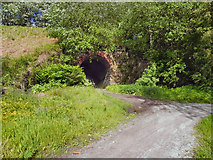 SD7903 : Former Railway Bridge, The Irwell Valley Way by David Dixon