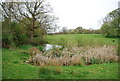 Pond by the High Weald Landscape Trail