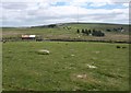 SX5775 : Fields at Mis Tor Farm by Derek Harper
