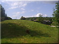 Barns at Milebarn Farm