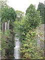 The Quaggy River north of Marvels Lane, SE12