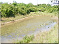 TM3068 : Pond at Badingham Pocket Park by Geographer