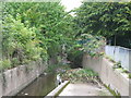 The Quaggy River north of Marvels Lane, SE12 (5)