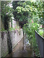 The Quaggy River between Marvels Lane and Chinbrook Road, SE12 (3)