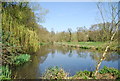 Mill pond, Oxted Mill