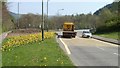ST2191 : Yellow is the colour, Islwyn Road, Crosskeys by Jaggery
