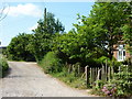 Track leading to Broomfield Farm