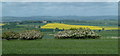 View from path between Bolsover and Palterton