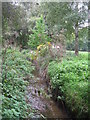 The Quaggy River aka The Chin Brook, Chinbrook Meadows (6)