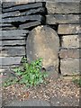 Shaped stone, Hollin Hall lane, Hopton