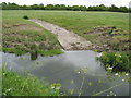 Access ramp for cattle to drink from the River Banwell