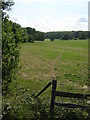 Field off the A217, Burgh Heath