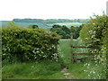 Footpath to Heath