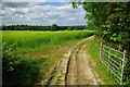 Footpath to Thorn Farm