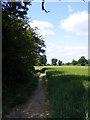 TM3761 : Footpath to the A12 Saxmundham Bypass & Deadman's Lane by Geographer