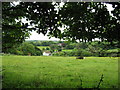 Grazing meadow adjacent to Paddingham House