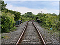 North Tyneside Steam Railway