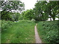 Path next to Oakdene Forest Park, St Leonards