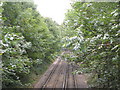 Railway lines east of Minster Road, BR1