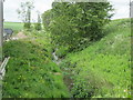 The  Gypsey  Race  flowing  through  Low  Mowthorpe  Farm