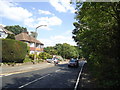 Roding Lane, Buckhurst Hill