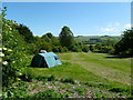 Church Knowle, campsite