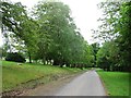 Road, Sauchieburn