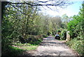 Greensand Way, Limpsfield Common