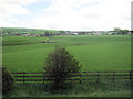 Farmland towards Devonburn