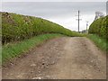 Driveway near North Cowton