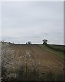 Farmland north east of Selmeston