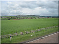 Meadows towards Brockleymore