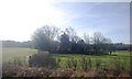 Woodland in the Rother Valley