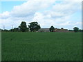 Farmland near Branton Grange