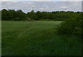 Field next to the Soar Valley Way