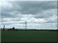 Farmland near Thorne