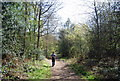 Walking the Greensand Way