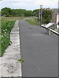 NZ9801 : Former station platform, Ravenscar, NW view by Pauline E