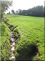 Drain, Sundridge Park Golf Course