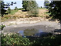 TM3454 : Dried up pond next to the B1069 Woodbridge Road by Geographer