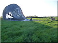 Mid Devon : Hot Air Balloon in a Field