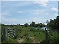 Gate beside Great Stour